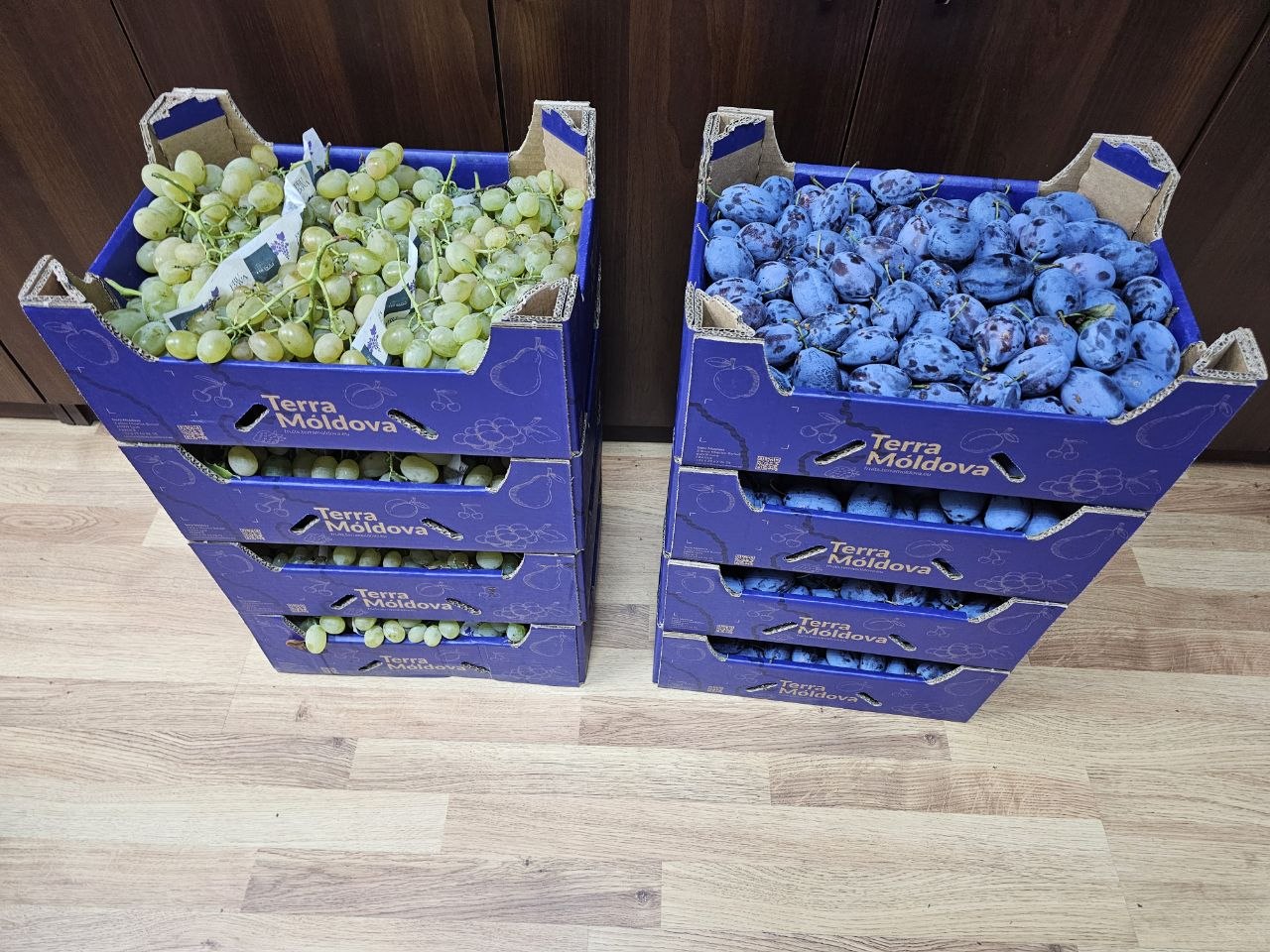Terra Moldova — prune și struguri în lăzi